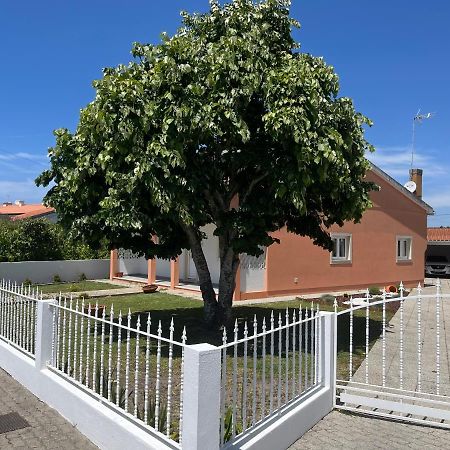 Moradia Alegre No Centro Da Vila Da Tocha. Εξωτερικό φωτογραφία