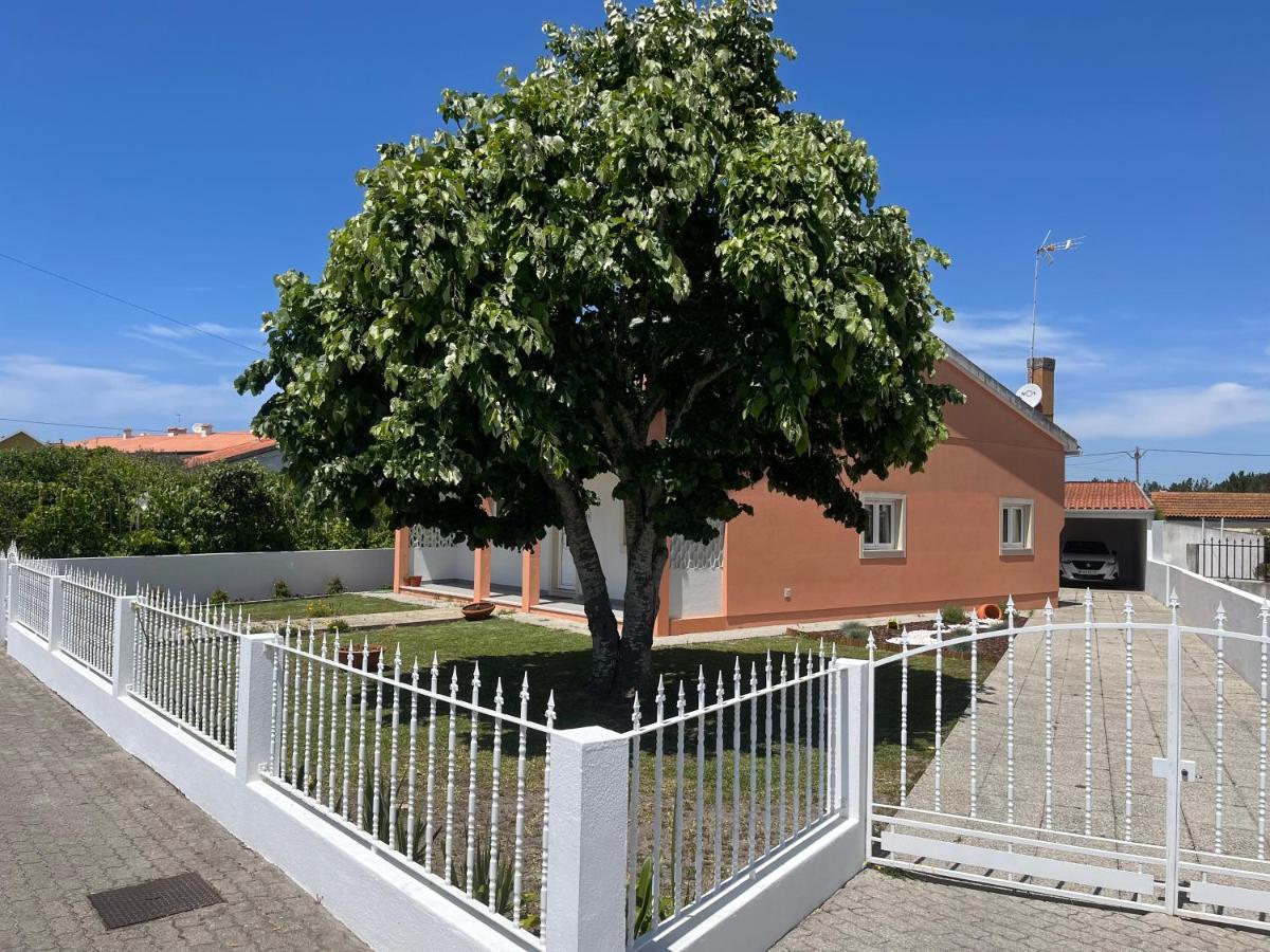 Moradia Alegre No Centro Da Vila Da Tocha. Εξωτερικό φωτογραφία